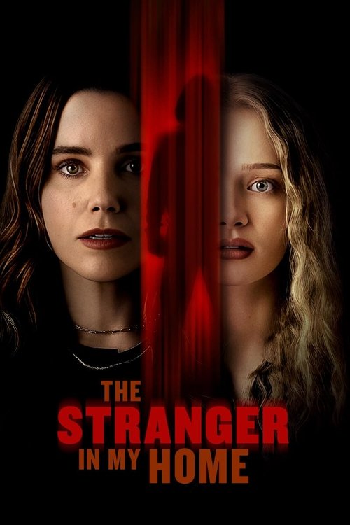 The Stranger in My Home постер