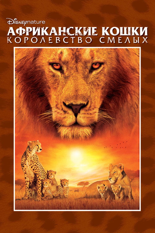 Африканские кошки: Королевство смелых постер