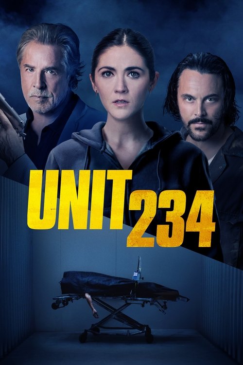 Unit 234 постер