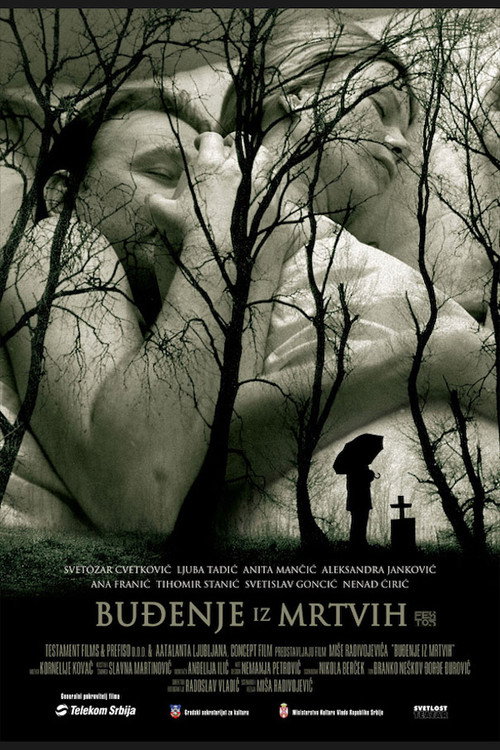 Awakening from the Dead постер