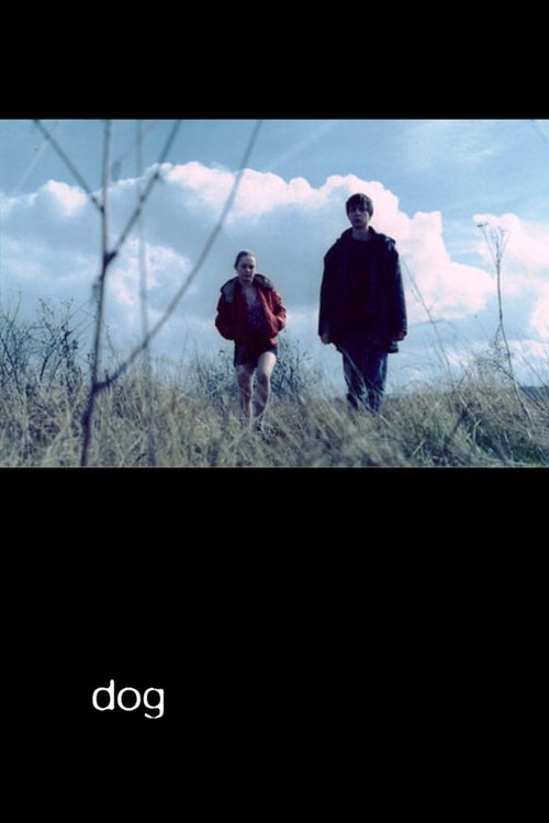 Dog постер