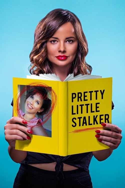 Pretty Little Stalker постер