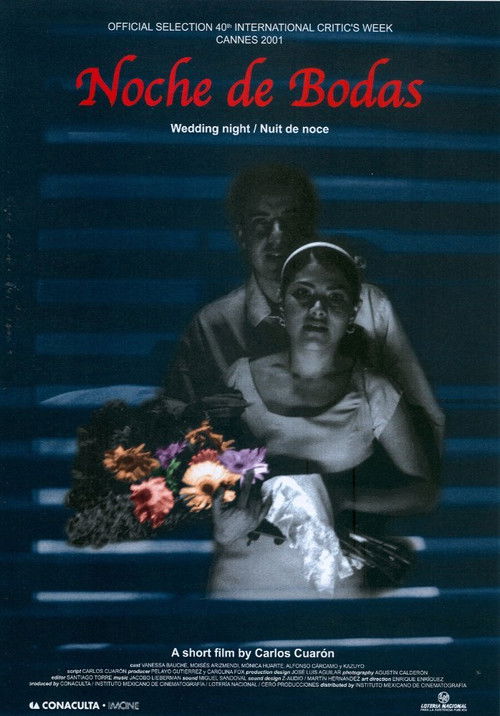 Noche de bodas постер