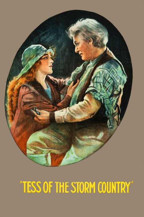 Tess of the Storm Country постер