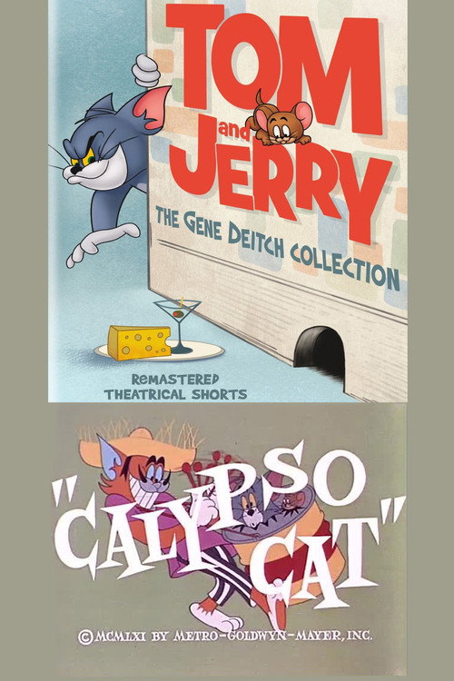 Calypso Cat постер