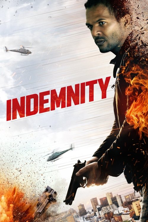 Indemnity постер