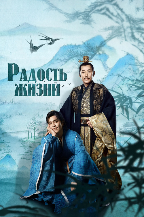 Радость жизни постер