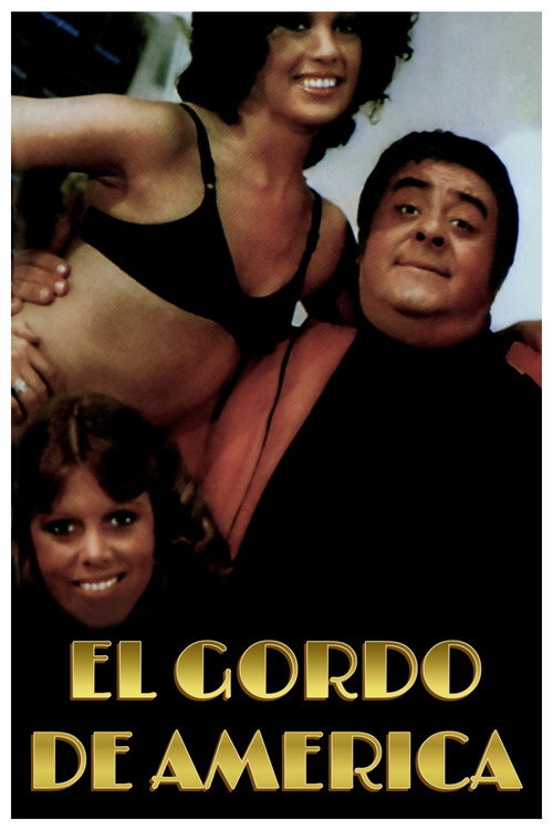 El gordo de América постер