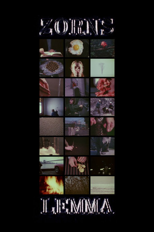 Zorns Lemma постер