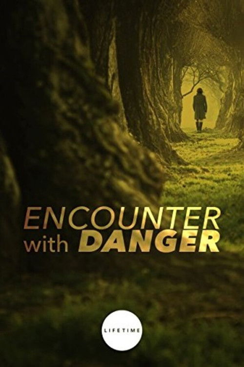 Encounter with Danger постер