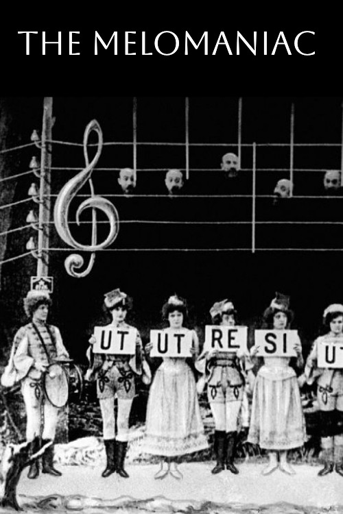 Меломан постер