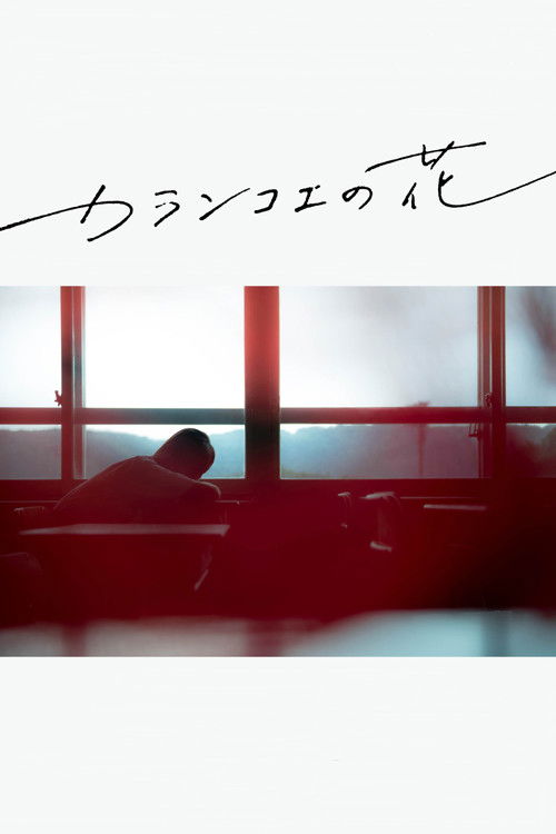 カランコエの花 постер