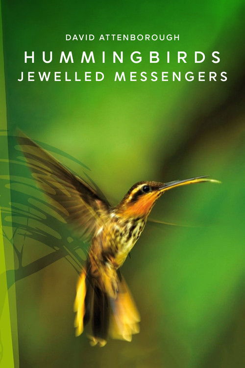 Hummingbirds: Jewelled Messengers постер