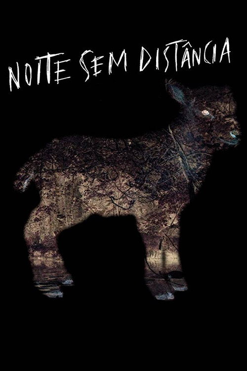 Noite Sem Distância постер