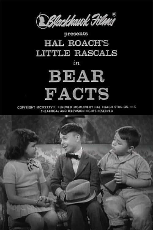 Bear Facts постер