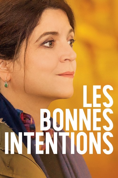 Les bonnes intentions постер