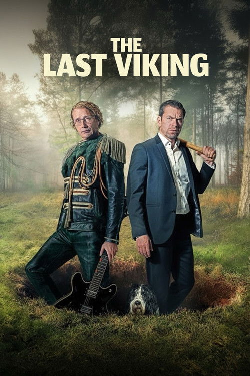 The Last Viking постер