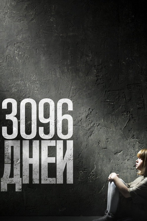 3096 дней постер