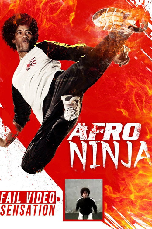 Afro Ninja постер