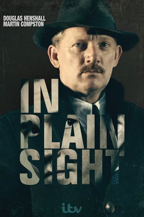 In Plain Sight постер
