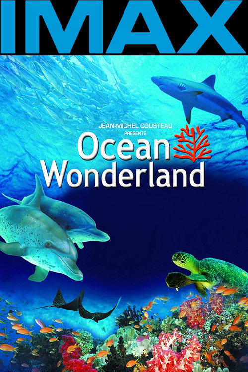 Ocean Wonderland 3D постер