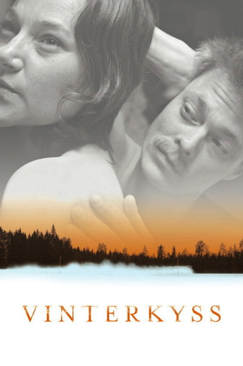 Kissed by Winter постер