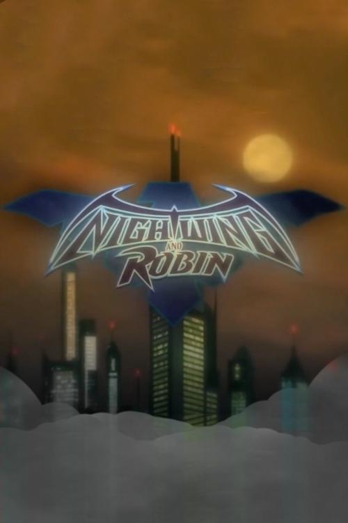 Nightwing and Robin постер
