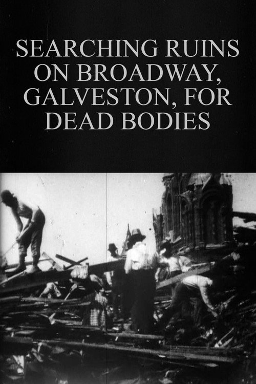 Searching Ruins on Broadway, Galveston, for Dead Bodies постер