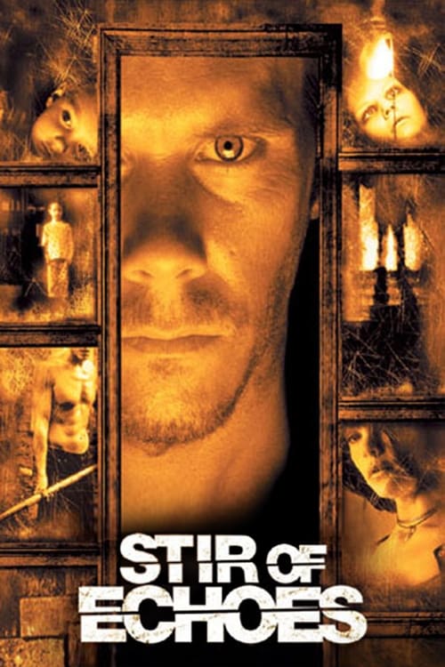Stir of Echoes постер