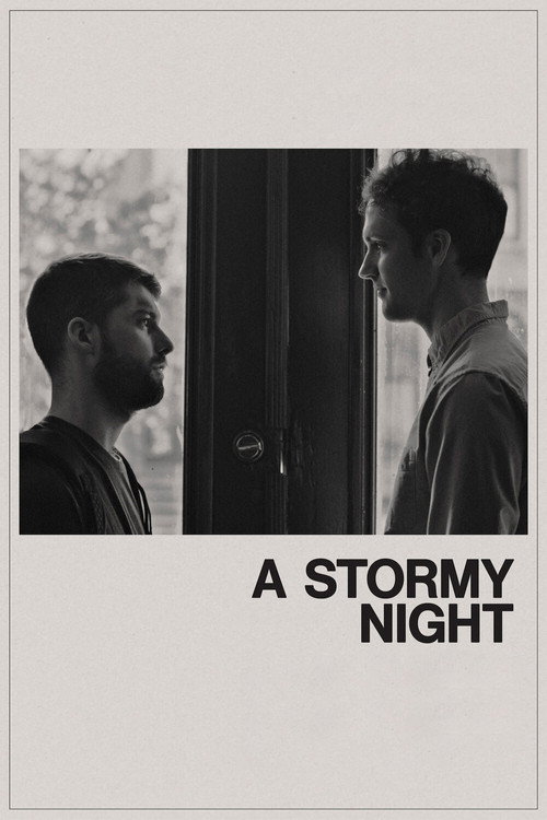 A Stormy Night постер