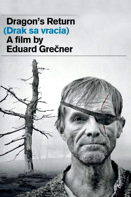 Dragon's Return постер