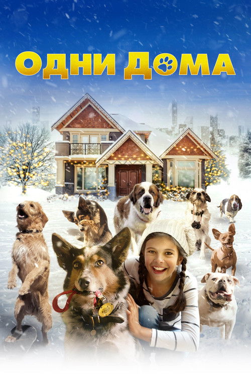 Одни дома постер