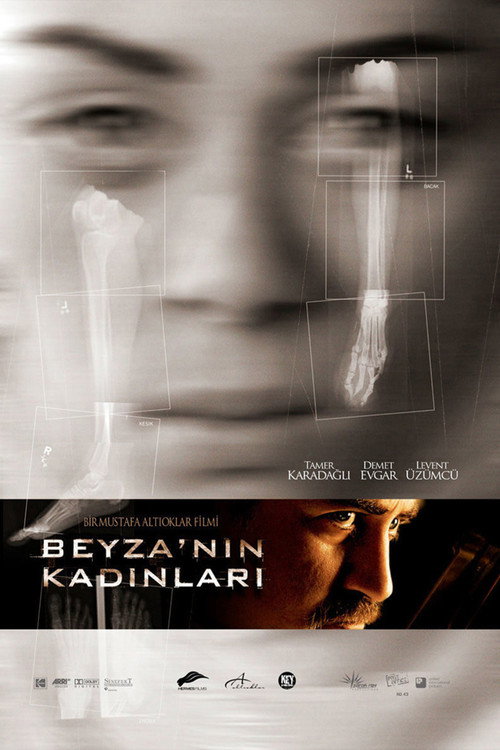 Beyza'nın Kadınları постер
