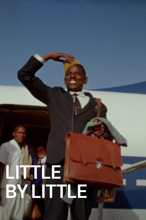 Petit à petit постер