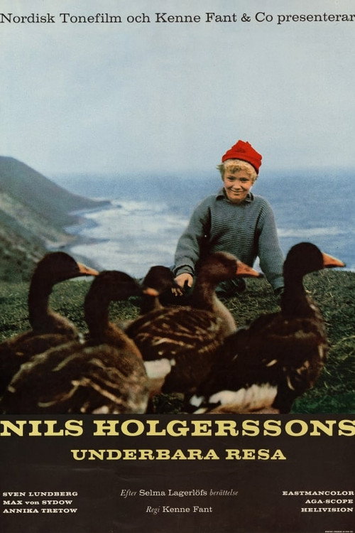 Wonderful Adventures of Nils постер