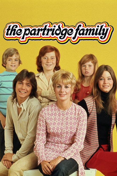 The Partridge Family постер