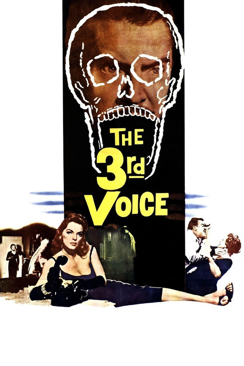 The 3rd Voice постер