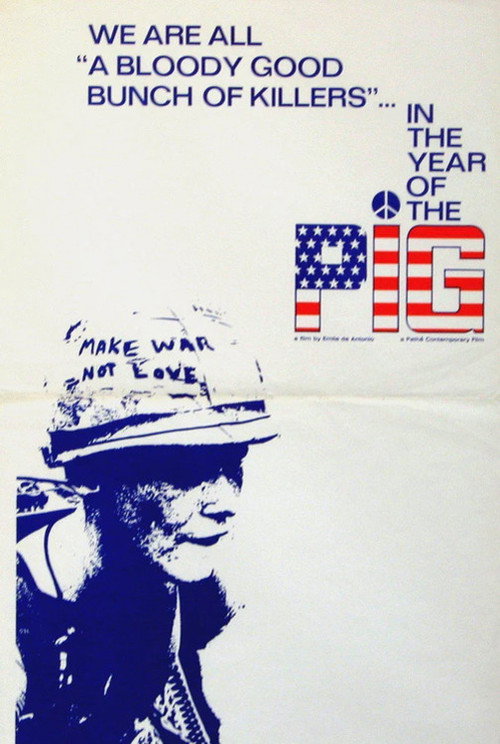 In the Year of the Pig постер