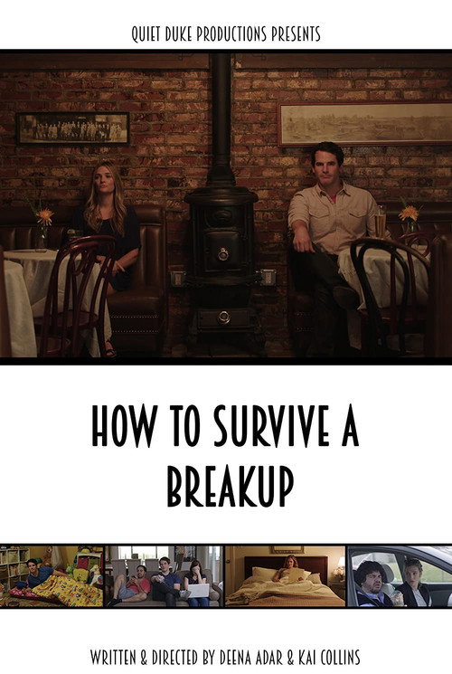 How to Survive a Breakup постер