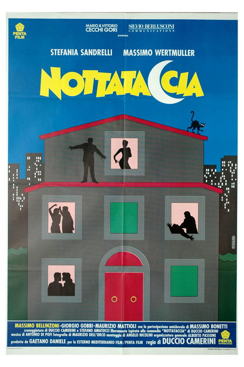 Nottataccia постер