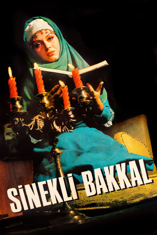 Sinekli Bakkal постер