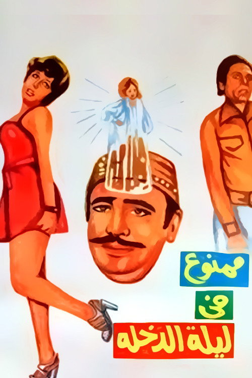 ممنوع في ليلة الدخلة постер