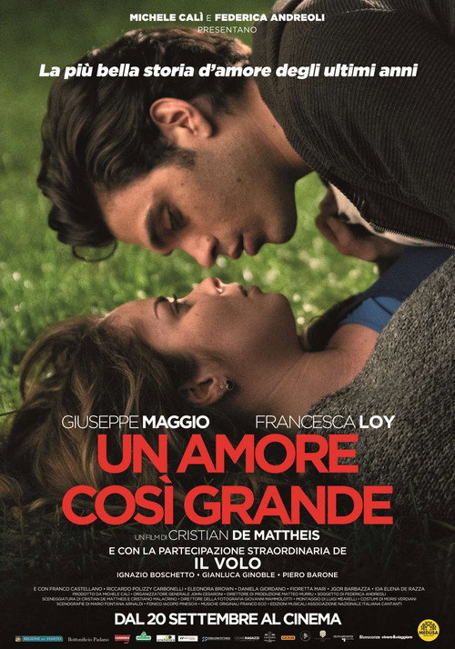 Un Amore così grande постер