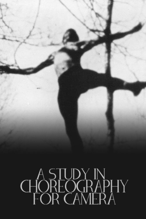 A Study in Choreography for Camera постер