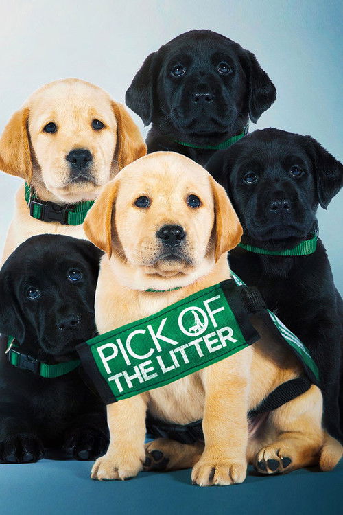 Pick of the Litter постер