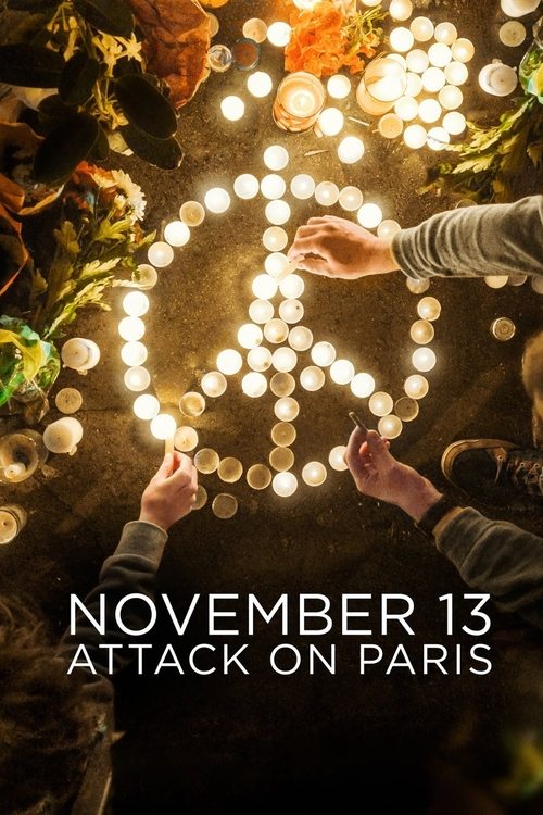 November 13: Attack on Paris постер