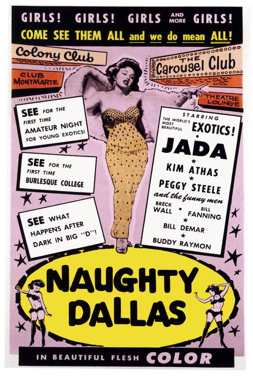 Naughty Dallas постер