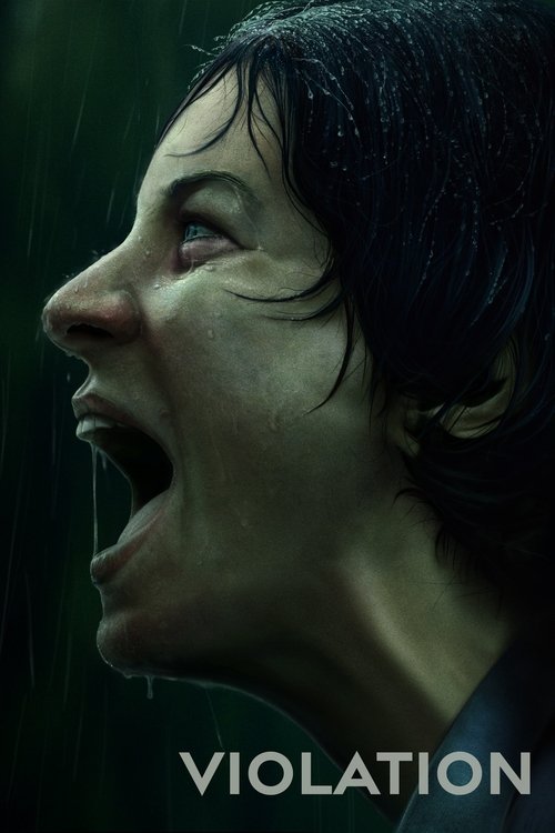 Violation постер