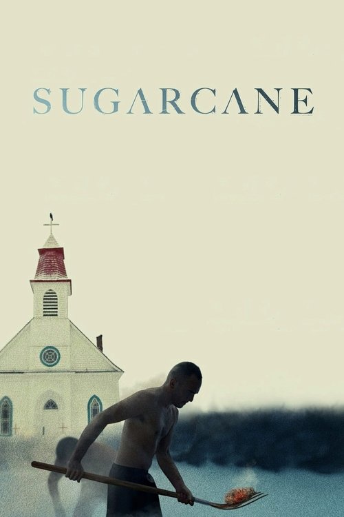 Sugarcane постер