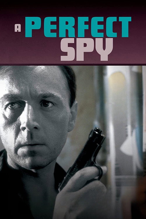 A Perfect Spy постер